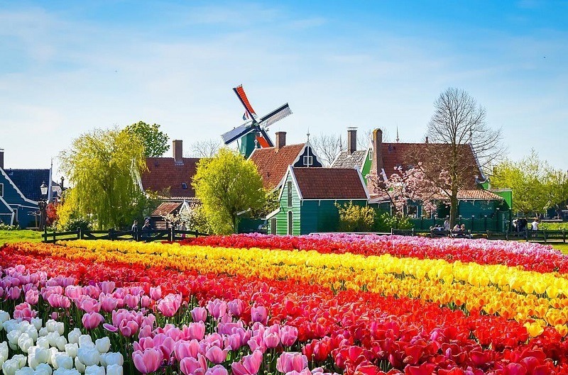 Tây Âu: Pháp – Bỉ – Hà Lan – Luxembourg – Thụy Sĩ – Đức (Lễ hội hoa Tulip Keukenhof)